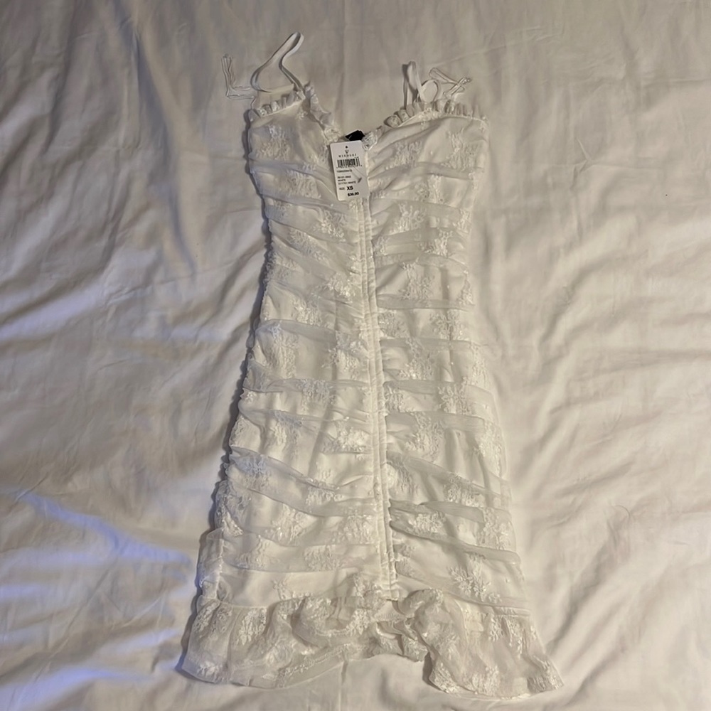 Windsor Dainty Lace Ruched Mesh Mini Dress